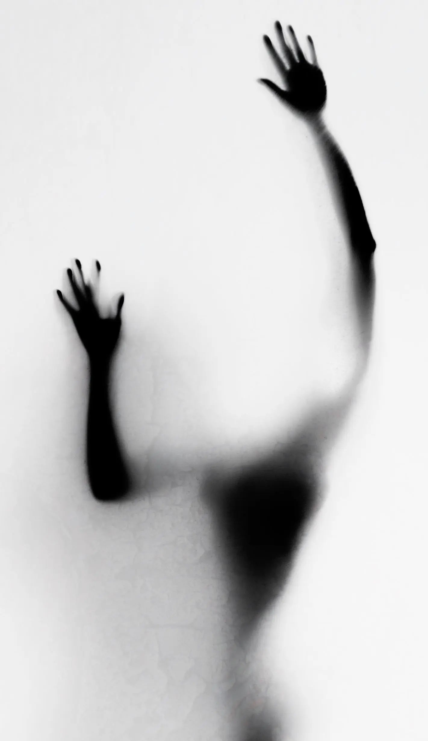 Silhouette Cedric Brion