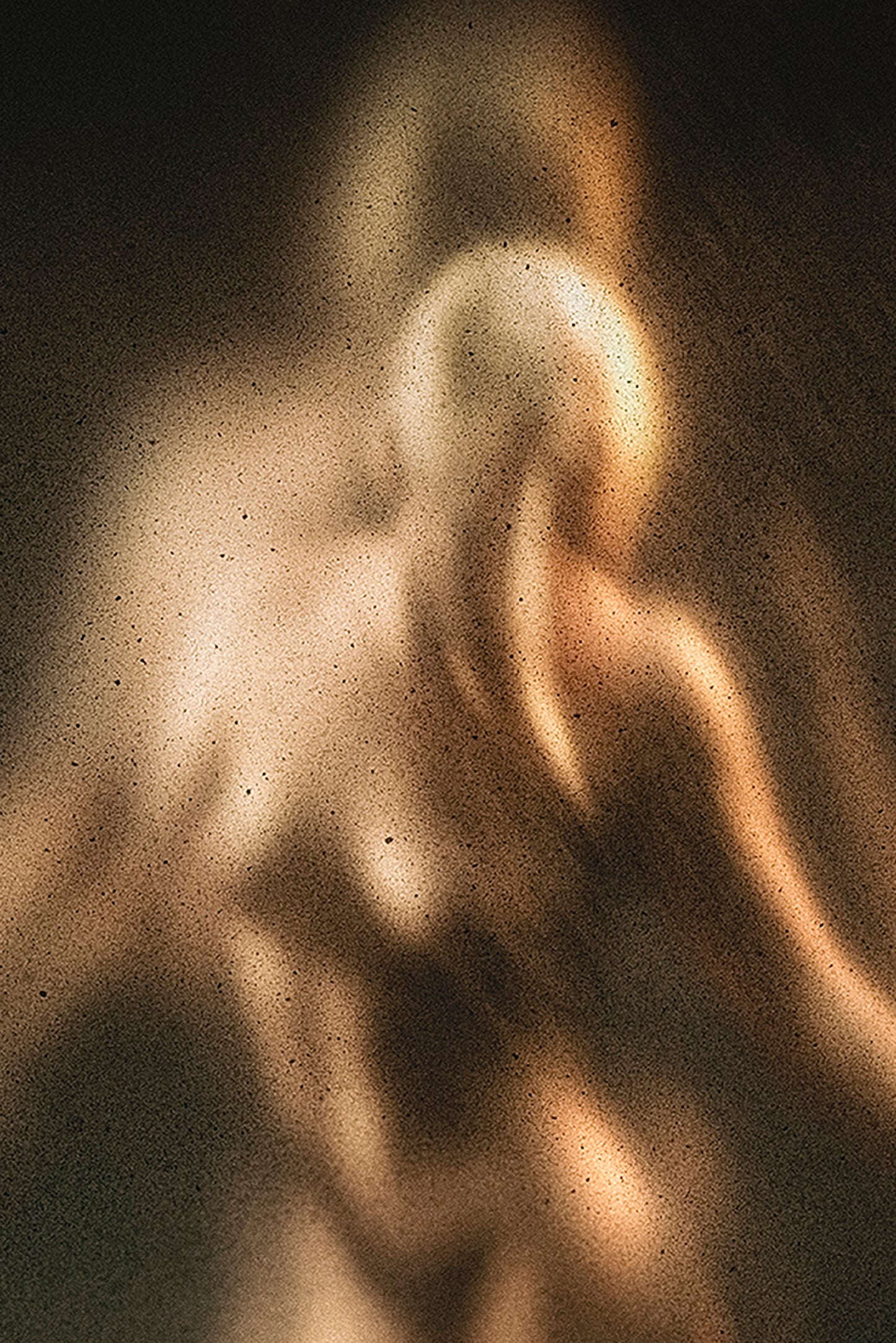 Corpus - Fine-Art Print on Dibond + American Box