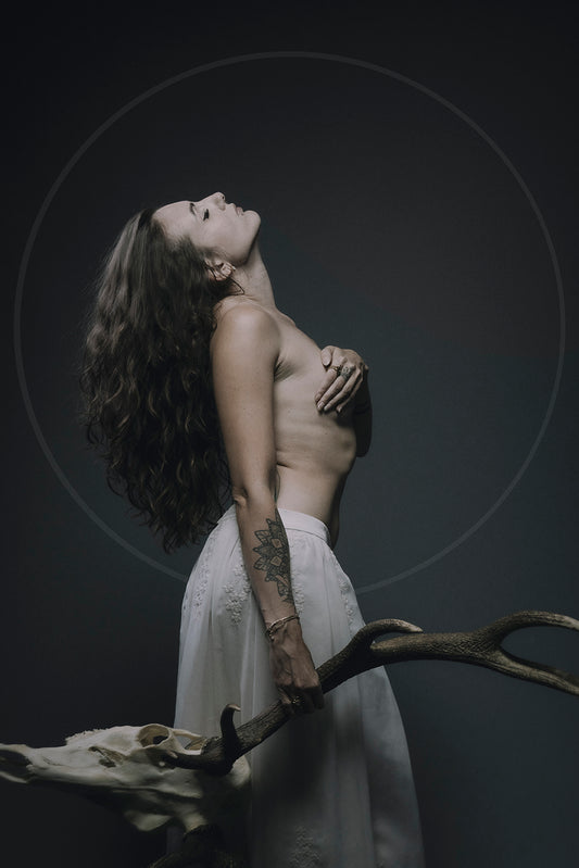 The Soul IV