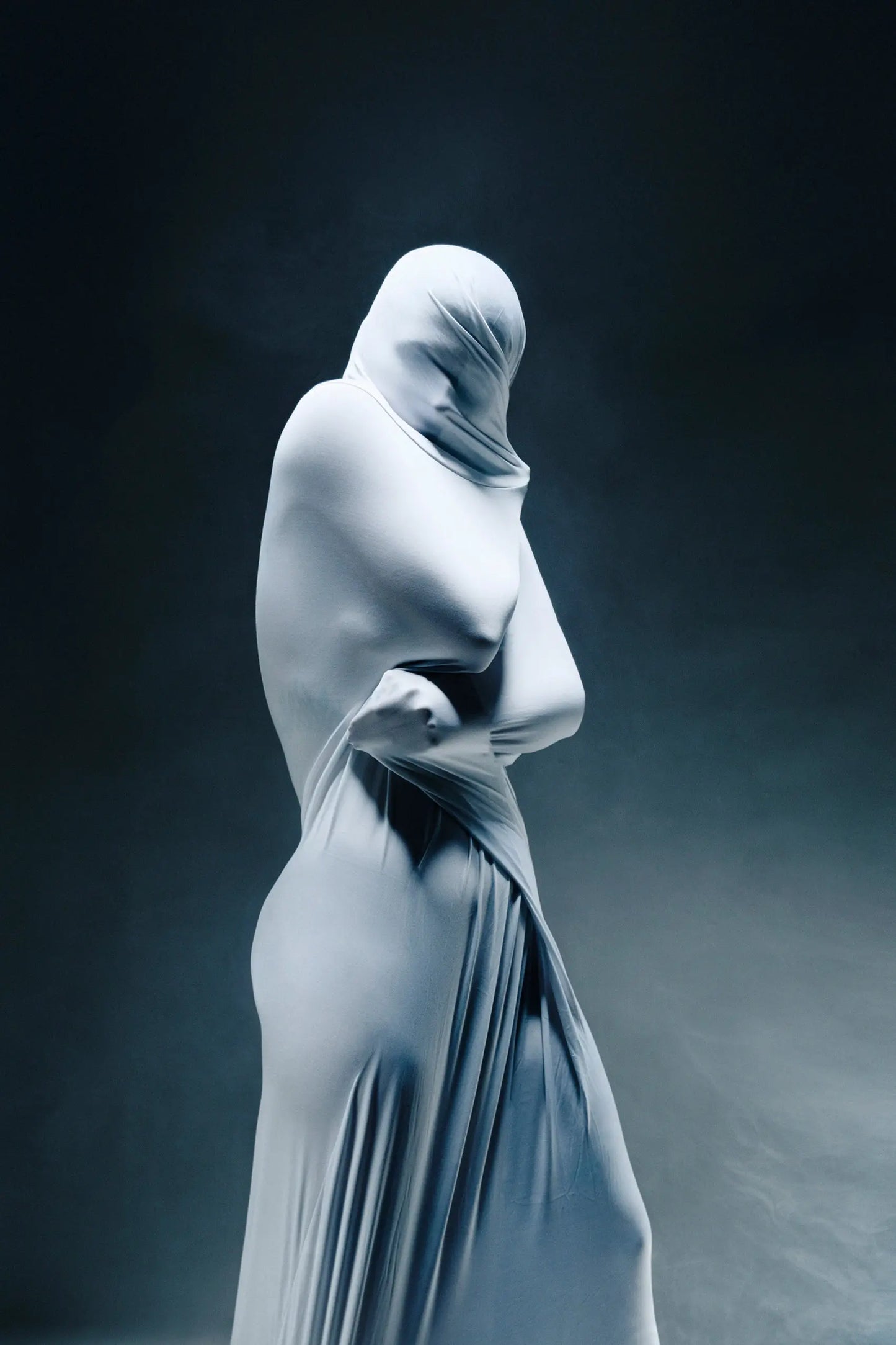 Drapé V Cédric Brion Fine-Art