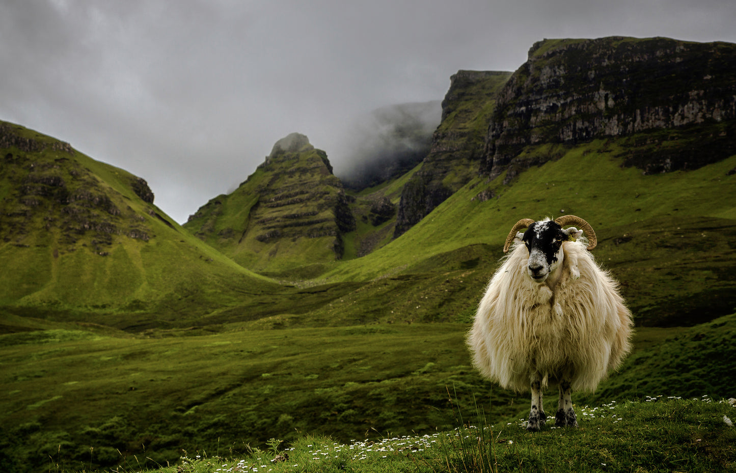 Plastic DRESS III - Fine Art Photography Print 40x60cm