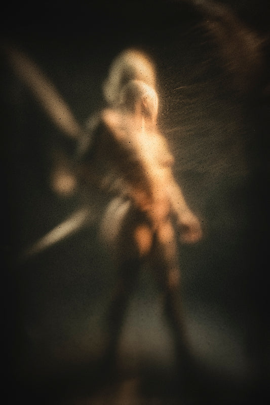 Corpus VIII