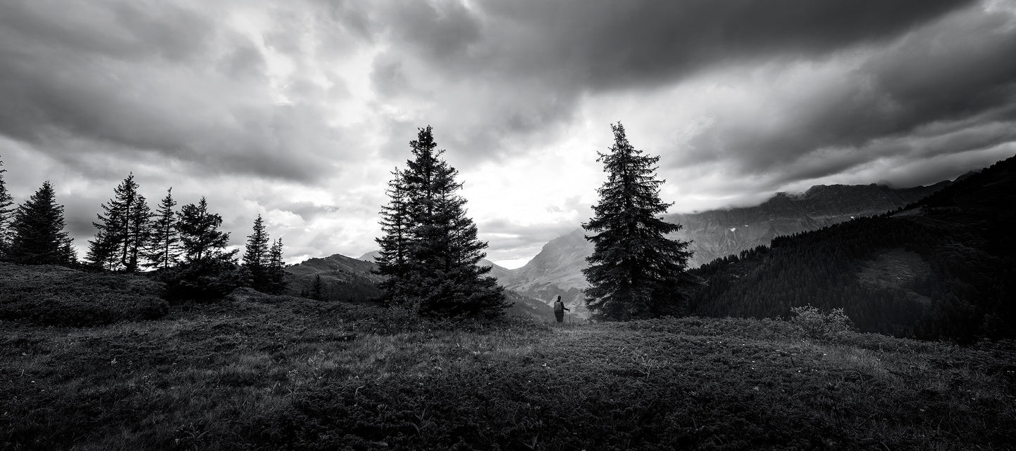 Plastic DRESS III - Fine Art Photography Print 40x60cm