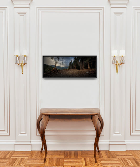 Forest - Tirage Fine Art Photography (Panoramique) 90x35cm