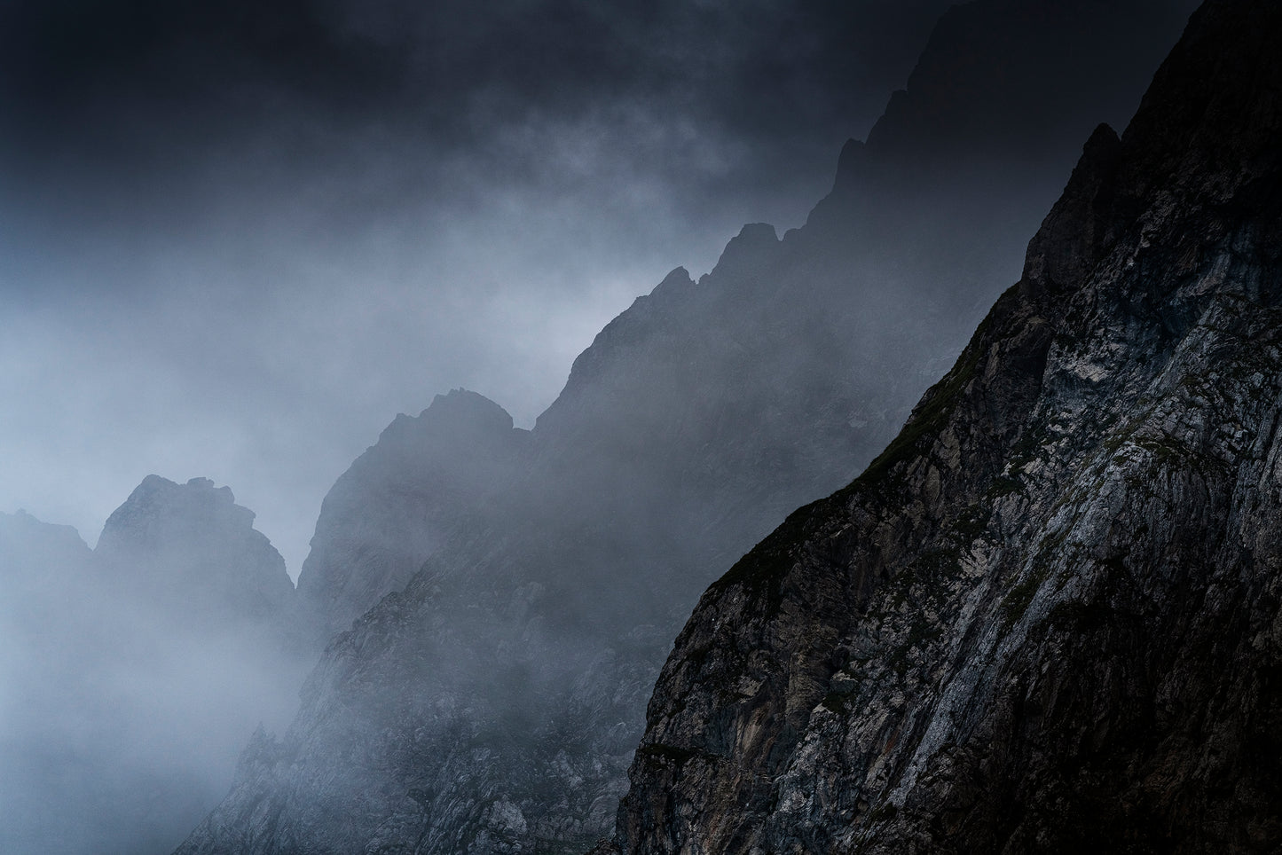 Dans la Brume