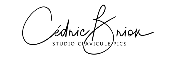 Cédric Brion Fine-Art