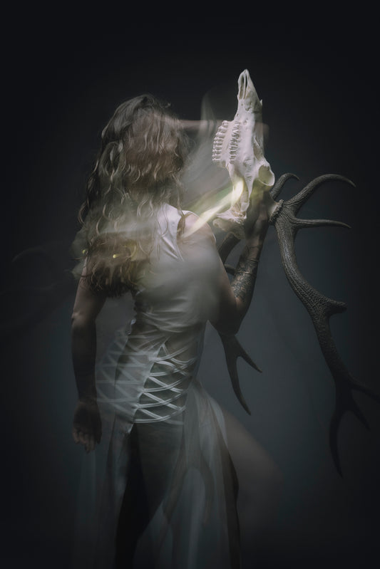 The Soul III