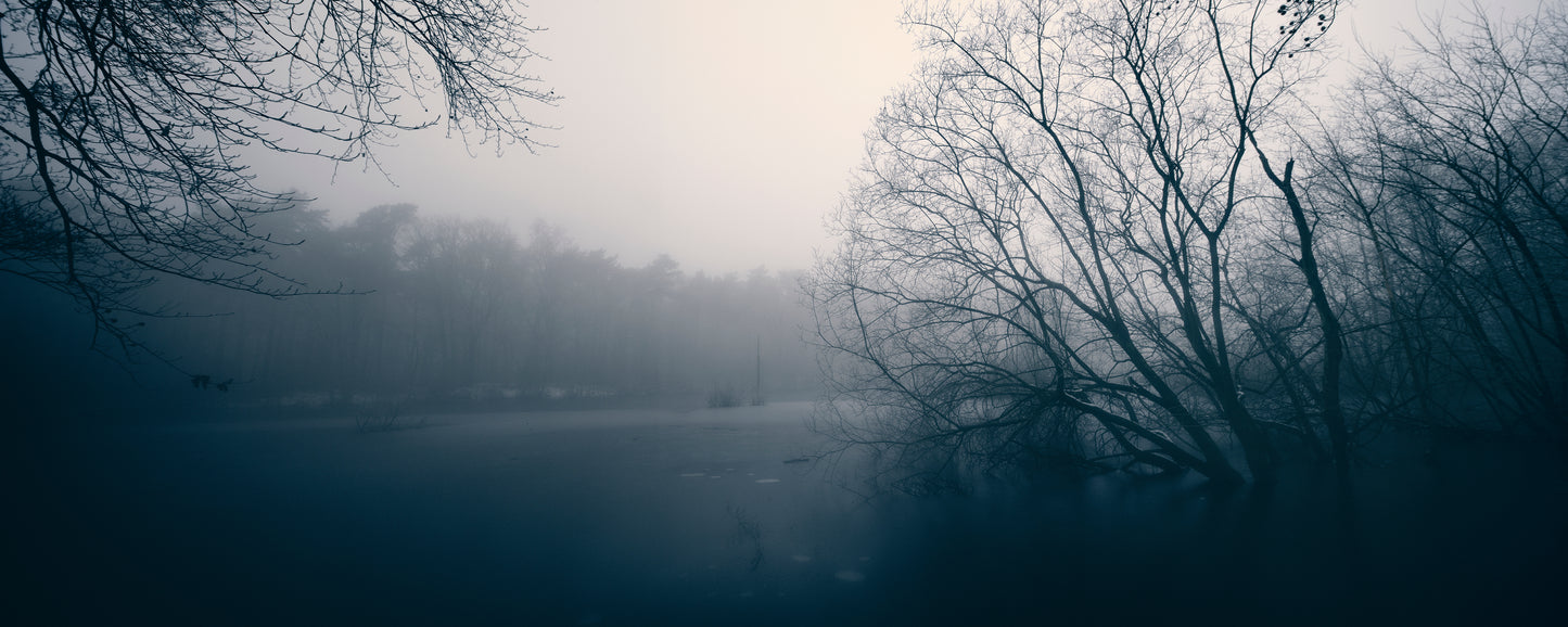 Silent Winter