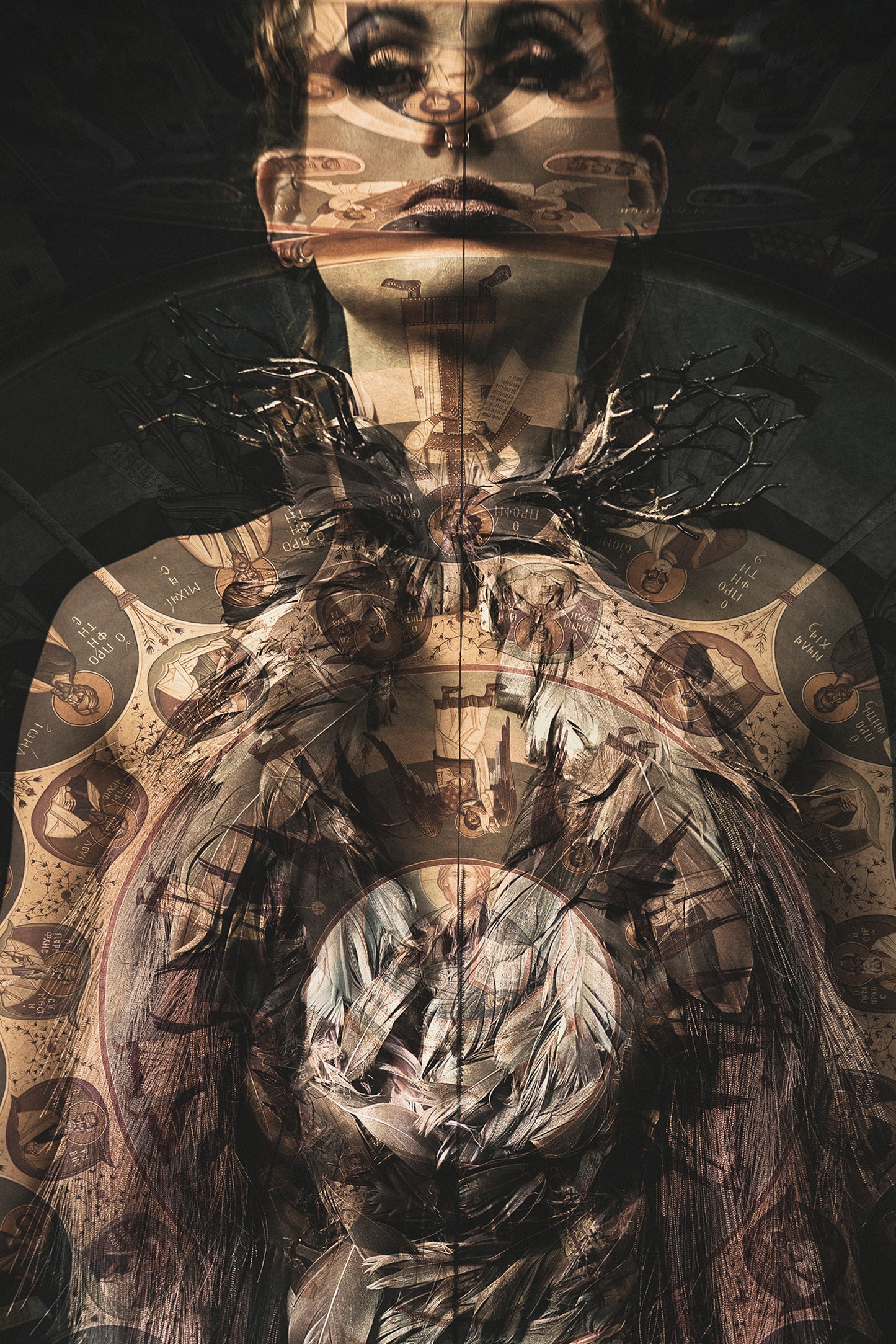 Symetry O
