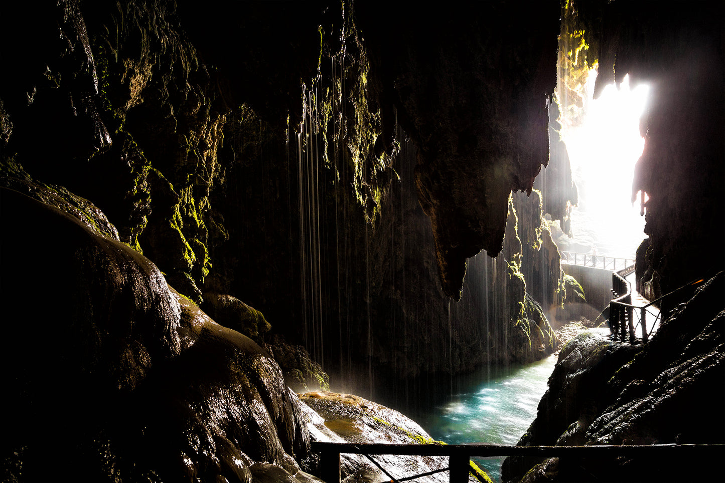 The Hidden Light