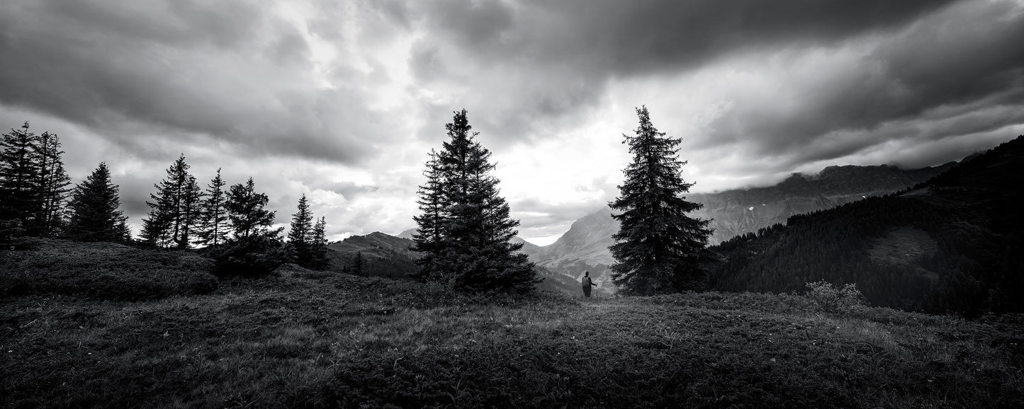 Le Trail