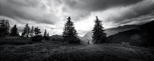 Le Trail