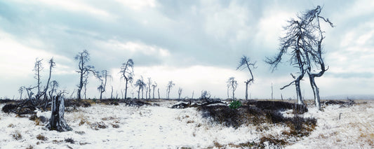 The Fagnes