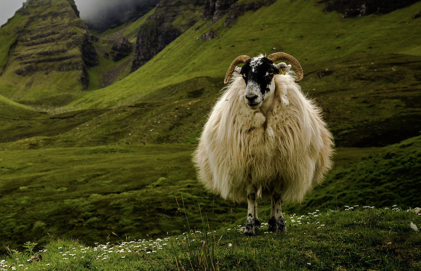 Plastic DRESS III - Fine Art Photography Print 40x60cm